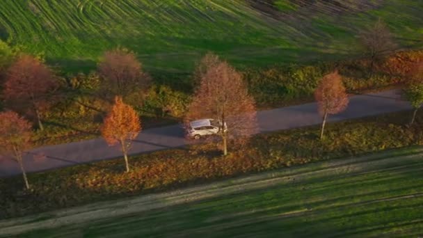 Bovenaanzicht van een auto's rijden langs een landelijke weg tussen twee velden — Stockvideo