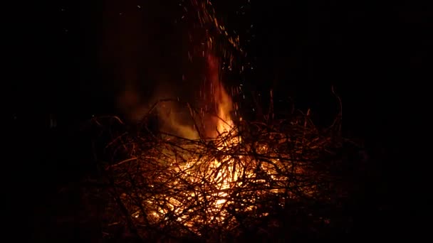 Hoguera ardiente sobre un fondo negro rodeado de ramas. De cerca. — Vídeos de Stock