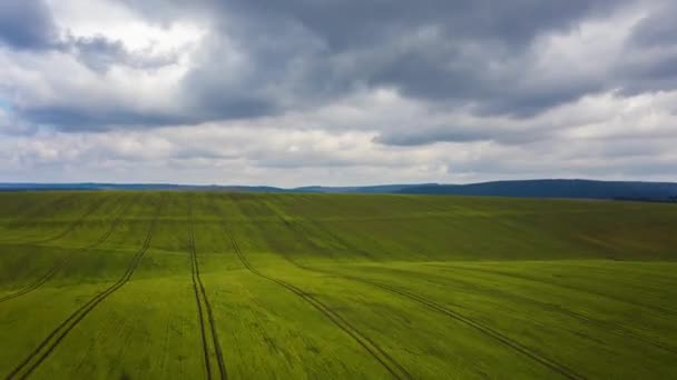 Vue de la hauteur sur le paysage rural : champ vert et nuages pittoresques dans le ciel. Hyper péremption aérienne — Video