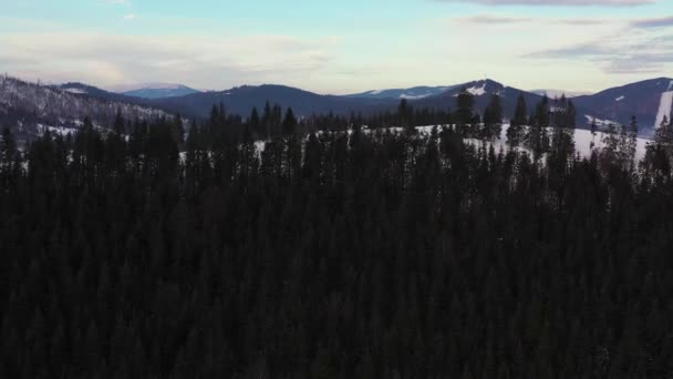 Vista da altura nas nuvens céu azul sobre a incrível paisagem de montanhas nevadas e floresta conífera nas encostas — Vídeo de Stock
