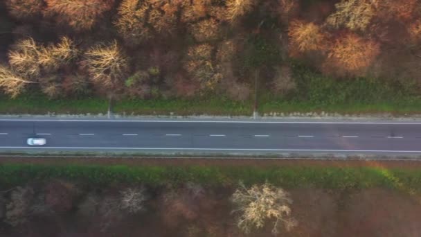 Vista desde la altura del tráfico en la carretera rodeada de bosque de otoño — Vídeos de Stock