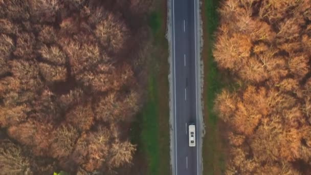 Θέα από το ύψος της κυκλοφορίας στο δρόμο που περιβάλλεται από φθινόπωρο δάσος — Αρχείο Βίντεο