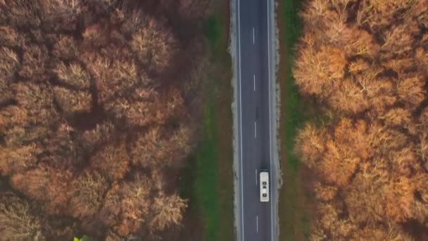 Vista desde la altura del tráfico en la carretera rodeada de bosque de otoño — Vídeos de Stock