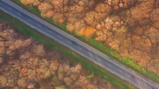 Uitzicht vanaf de hoogte van het verkeer op de weg omringd door herfst bos — Stockvideo