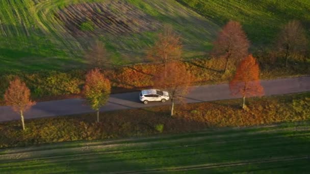 3 in 1 video. Bovenaanzicht van een auto rijden langs een landelijke weg tussen twee velden — Stockvideo