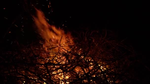 Brandend vreugdevuur op een zwarte achtergrond omgeven door takken. Close-up — Stockvideo
