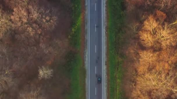 Uitzicht vanaf de hoogte van het verkeer op de weg omringd door herfst bos — Stockvideo