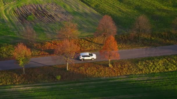 1ビデオで4。2つのフィールドの間の農村道路に沿って運転する車のトップビュー — ストック動画