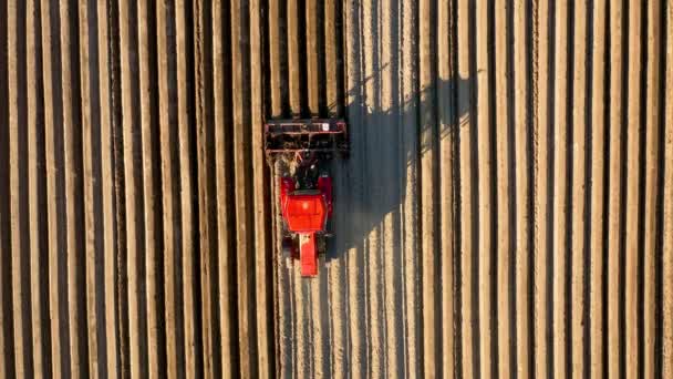 Vedere aeriană a tractorului efectuează însămânțarea pe câmp — Videoclip de stoc