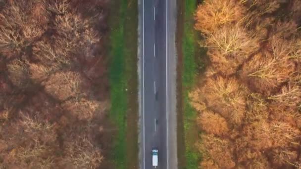 Pohled z výšky provoz na silnici obklopené podzimní les — Stock video