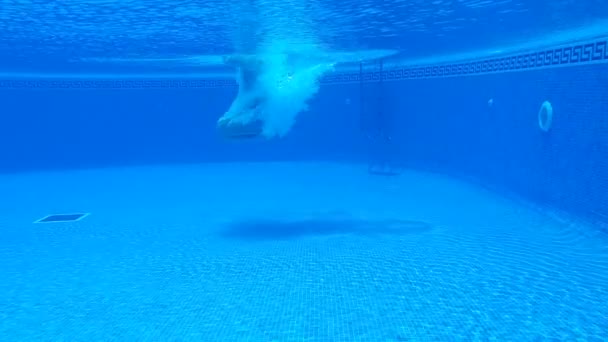 Podwodne strzelanie jak człowiek nurkuje do basenu i płodzi pod wodą — Wideo stockowe