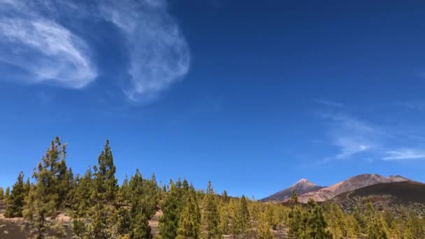 A Teide Nemzeti Park időmegszűnése. Tenerife, Kanári-szigetek, Spanyolország — Stock videók