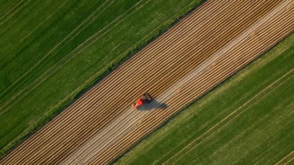 Aerial view of tractor performs seeding on the field — Stock Video
