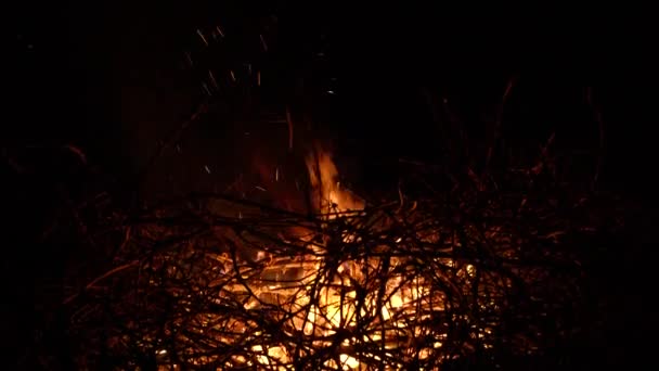Pálení ohně na černém pozadí obklopen větví. Detailní záběr — Stock video