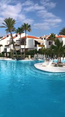 Dikey video. Plaj tatili tatil tatil için palmiye ağaçları ile tropikal otel beldesinde yüzme havuzu, lüks hedef. Tenerife, Kanarya Adaları, İspanya. Yavaş çekim