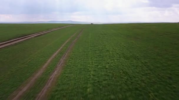 Vista aérea de campos verdes y un camión que conduce por un camino de tierra — Vídeos de Stock