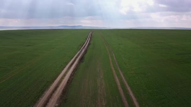 Vista aérea de campos verdes y camino de tierra en él — Vídeos de Stock