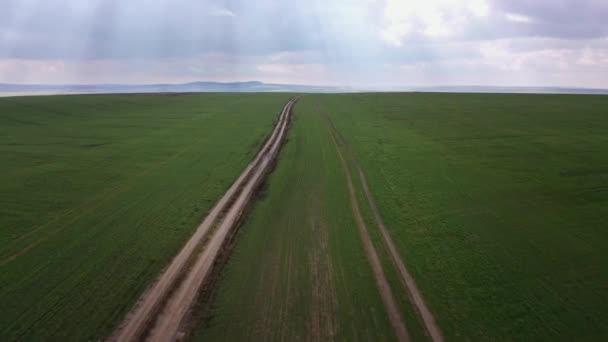 Vista aerea di campi verdi e strada sterrata su di esso — Video Stock