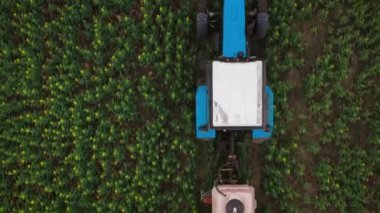 Traktör üst görünümü alanında tarımsal bitkiler davranır