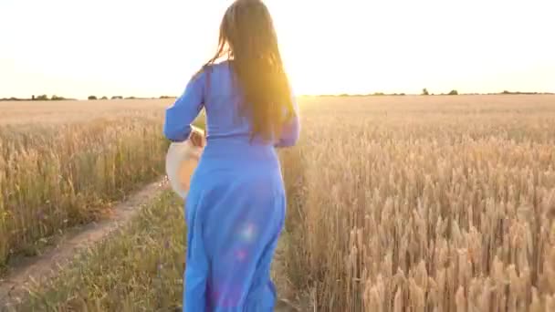 Mulher bonita em um vestido azul e chapéu corre através de um campo de trigo ao pôr do sol. Conceito de liberdade. Campo de trigo ao pôr-do-sol — Vídeo de Stock
