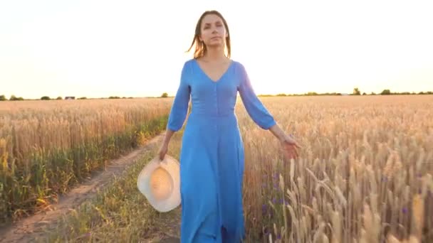 Mooie vrouw in een blauwe jurk en hoed wandelen door een tarwe veld bij zonsondergang. Freedom concept. Tarwe veld in zonsondergang — Stockvideo