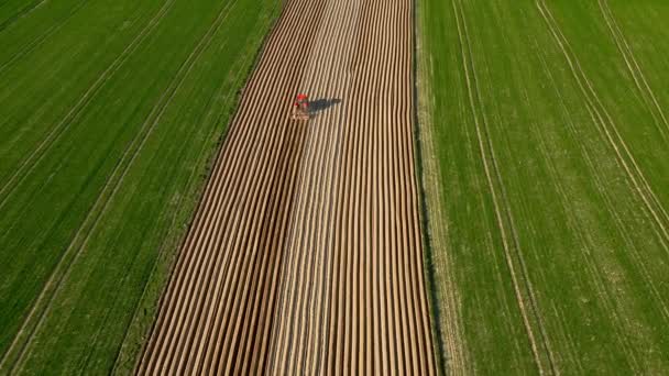 Vue aérienne du tracteur effectue le semis sur le terrain — Video