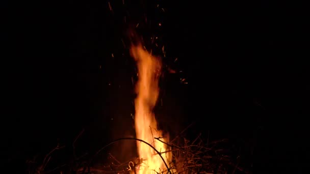 Queimando fogueira em um fundo preto cercado por galhos. Fechar — Vídeo de Stock