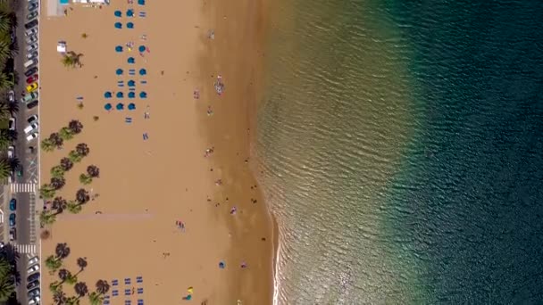 Вид с воздуха на золотой песок пляжа Лас Тереситас, Тенерифе, Канарские острова, Испания — стоковое видео