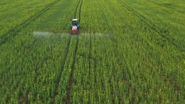 Вид с воздуха на трактор лечит сельскохозяйственные растения на поле — стоковое видео