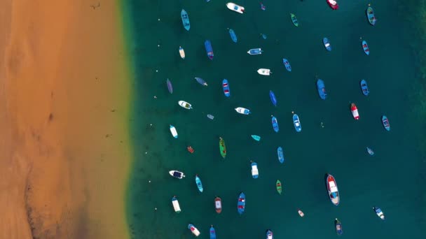 Letecký pohled na zlatý písek pláže Las Teresitas a pestrobarevné čluny, Tenerife, Kanárské ostrovy, Španělsko — Stock video