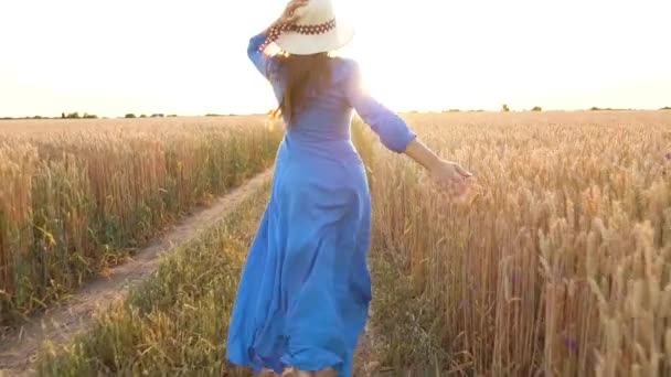 Gyönyörű nő egy kék ruhában és kalapban fut át a búza mező naplementekor. Szabadság koncepcióját. Búza mező naplementekor. Lassított mozgás — Stock videók