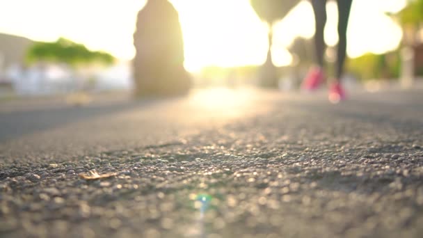 Close up de mulher amarrando cadarços de sapato e correndo ao longo da avenida palma ao pôr do sol — Vídeo de Stock