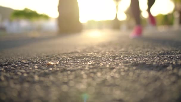 在日落时分，妇女绑鞋带，沿着棕榈大道奔跑的特写镜头。慢动作 — 图库视频影像