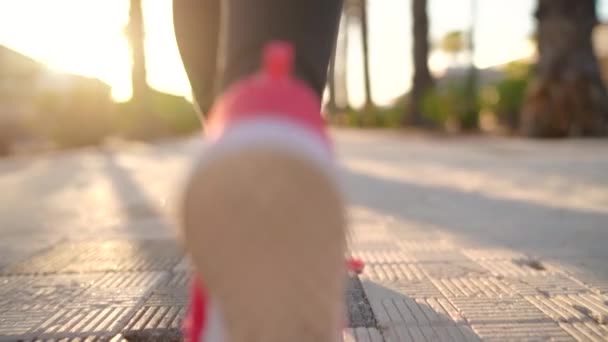 Close up de mulher amarrando cadarços de sapato e correndo ao longo da avenida da palma ao pôr do sol. Vista traseira. Filmado em diferentes velocidades - câmera lenta e normal — Vídeo de Stock