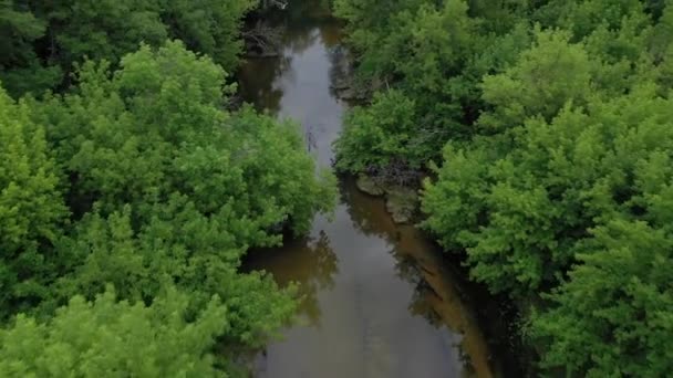 Vista aérea del hermoso paisaje: el río fluye entre el verde bosque caducifolio — Vídeo de stock