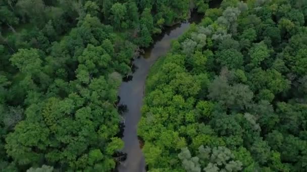 Vista aérea del hermoso paisaje: el río fluye entre el verde bosque caducifolio. Filmado a diferentes velocidades - acelerado y normal — Vídeo de stock