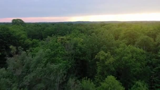 Luchtfoto van het prachtige landschap-groen bladverliedige bos bij zonsondergang — Stockvideo