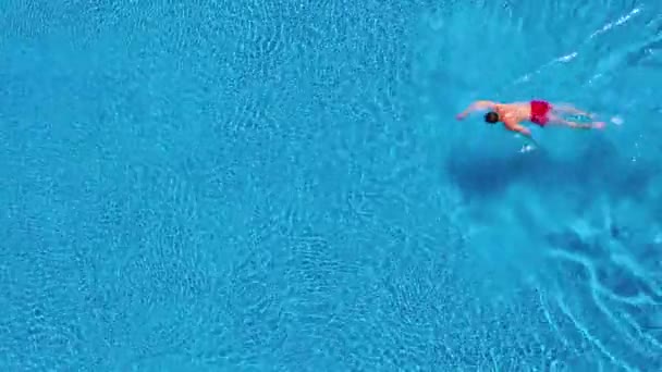 Aerial view of man in red shorts swims in the pool — Stock Video