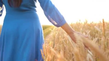 Buğday alanında bir gün batımı ışık dokunmadan el
