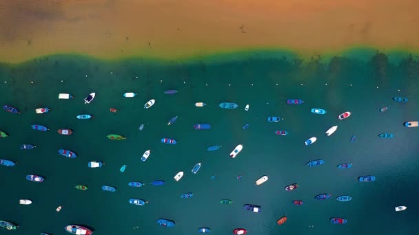 Luftaufnahme des goldenen Sandes des Strandes las Teresitas und bunte Boote entlang einer Küste, Teneriffa, Kanaren, Spanien festgemacht — Stockvideo