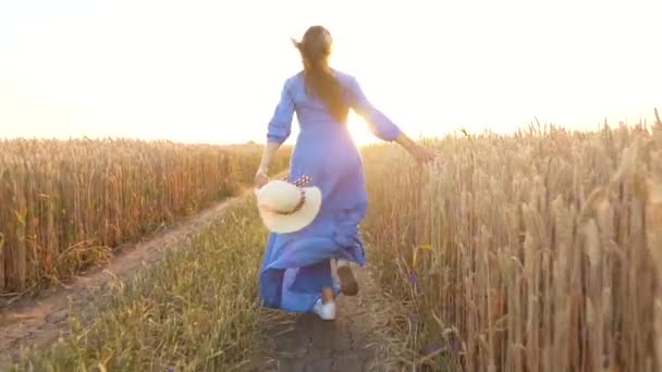 Mulher bonita em um vestido azul e chapéu corre através de um campo de trigo ao pôr do sol. Conceito de liberdade. Campo de trigo ao pôr-do-sol. Movimento lento — Vídeo de Stock