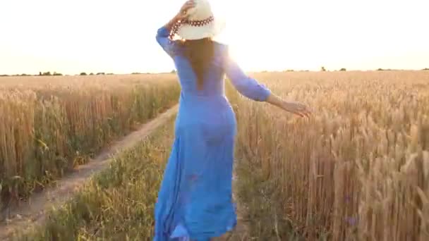 Belle femme en robe bleue et chapeau court à travers un champ de blé au coucher du soleil. Concept de liberté. Champ de blé au coucher du soleil — Video