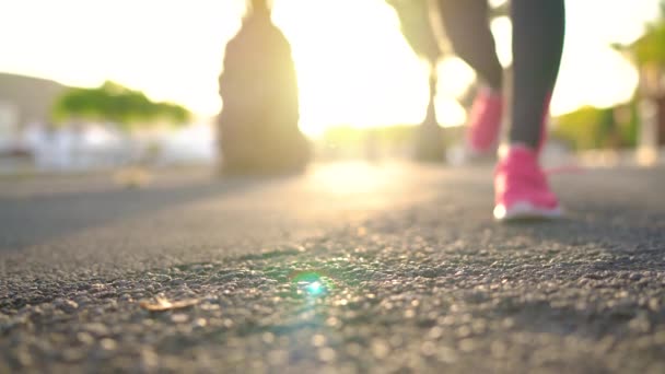 Close up of woman tying shoe laces and running along the palm avenue at sunset — Stock Video