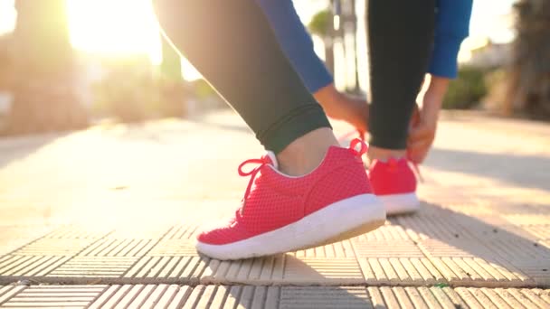 Acercamiento de mujer atando cordones de zapato y corriendo por la avenida de la palma al atardecer — Vídeos de Stock