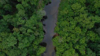 Güzel manzara havadan görünümü - nehir yeşil yaprak döken orman arasında akar
