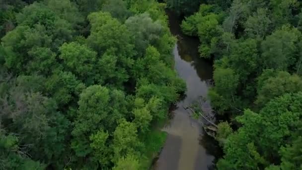 Vue aérienne du beau paysage - la rivière coule parmi la forêt caduque verte. Filmé à différentes vitesses - accéléré et normal 