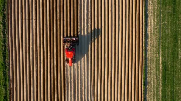 Luchtfoto van tractor voert zaaien op het veld — Stockvideo