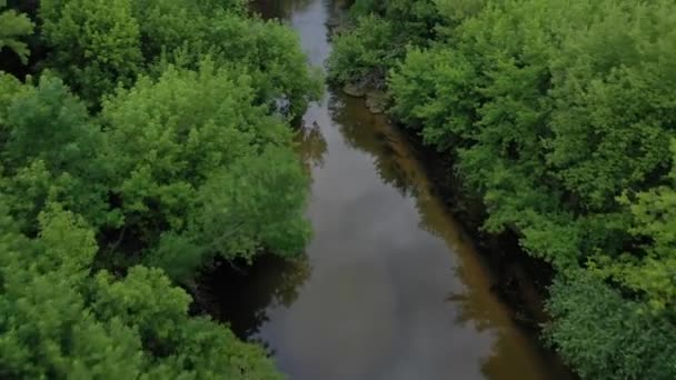 Widok z lotu ptaka na piękny krajobraz-rzeka przepływa wśród zielonego lasu liściastego. Nakręcony przy różnych prędkościach-przyspieszony i normalny — Wideo stockowe