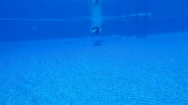 Disparos bajo el agua mientras un hombre se sumerge en la piscina y nada bajo el agua. Movimiento lento — Vídeos de Stock