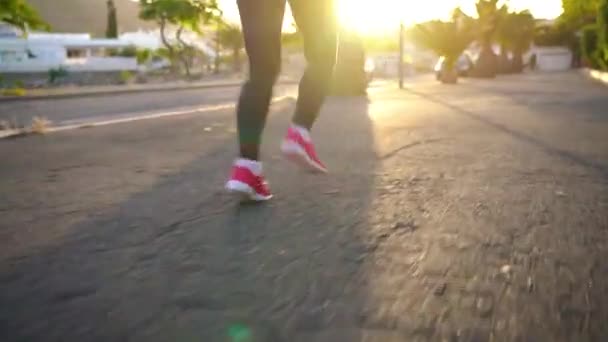 Kadının bacakları gün batımında palmiye ağaçlarının arasında caddeden aşağı koşar, arka görüşte. Sağlıklı aktif yaşam tarzı — Stok video